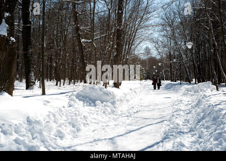 UFA, Russia 29marzo 2018 - Due donne anziane camminare insieme anche se una pista forestale in una neve riempito country park ammirare il paesaggio durante il w Foto Stock