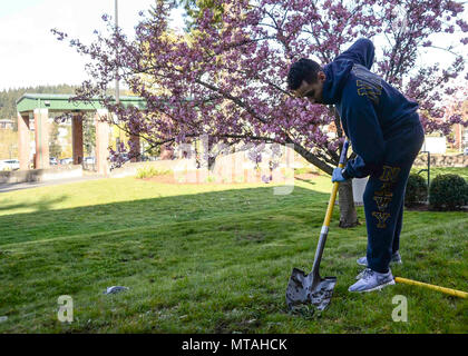 BREMERTON, nello Stato di Washington (21 aprile 2017) - Aviazione di Boatswain Mate (manipolazione) Airman Victor Castro da Bronx, New York, partecipa a un giorno di terra a bordo di pulizia di base navale Kitsap-Bremerton. Il dipartimento della marina hanno aderito alla nazione nella celebrazione del 47th annuale Giornata della Terra, con il tema di questo anno è "costruire la forza attraverso la gestione amministrativa'. Foto Stock