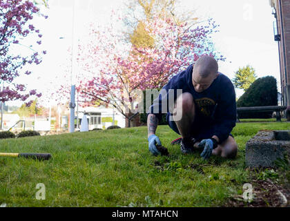 BREMERTON, nello Stato di Washington (21 aprile 2017) - Elettronica tecnico di terza classe Ryan Beagle, da Wayland, Michigan, assegnato alla Base Navale Kitsap-Bremerton, partecipa a un giorno di terra la pulitura. Il dipartimento della marina hanno aderito alla nazione nella celebrazione del 47th annuale Giornata della Terra, con il tema di questo anno è "costruire la forza attraverso la gestione amministrativa'. Foto Stock