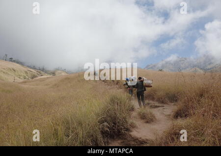Rinjani National Park Foto Stock