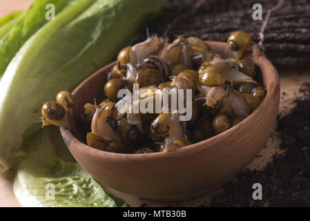 Viva la lumaca su una ciotola di legno con insalata e suolo Foto Stock