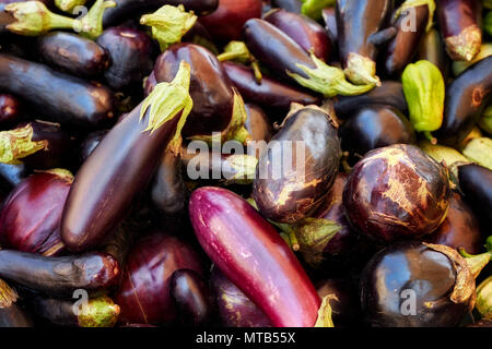 Cumulo di freschi melanzane su un contatore di mercato Foto Stock