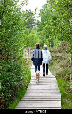 Due persone a piedi una Tibetan Terrier dod su una scheda a piedi n una riserva naturale sul comune Thursley Surrey Foto Stock