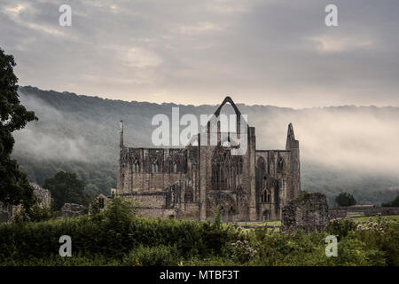 Chepstow Abbey in alba mist Foto Stock