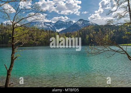 Alatsee lago, lago di montagna in Baviera, Germania Foto Stock