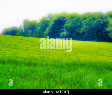 Arte digitale: il campo Foto Stock