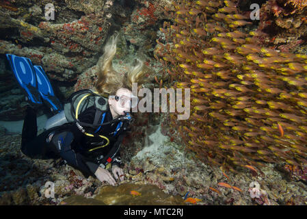 Femmina sub guardare a scuola di glassfish in grotta. Pesce di vetro o pigmea sweeper (Parapriacanthus ransonneti) Foto Stock