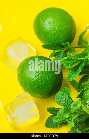 Mature Limes organico di menta fresca ramoscelli fuso cubetti di ghiaccio su sfondo giallo con gocce d'acqua. Cocktail Mojito ingredienti. Colori vivaci in stile funky. S Foto Stock