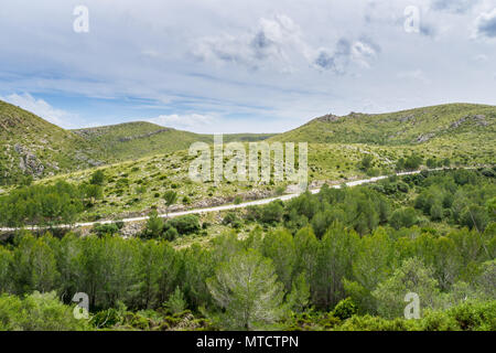 Mallorca, strada attraverso la foresta verde fino alla baia di Cala Torta Foto Stock