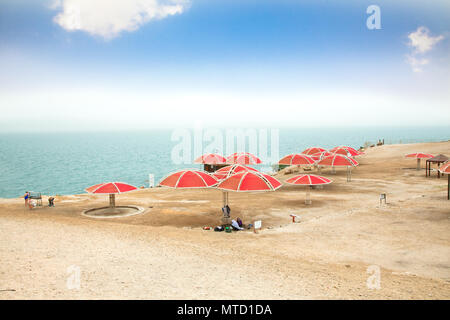 Ein Gedi oase presso il Mar Morto. Israele Foto Stock