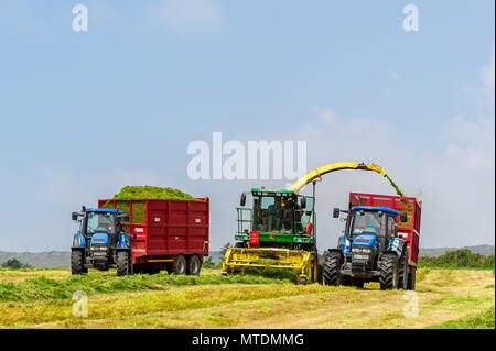 Schull, Irlanda. Il 30 maggio 2018. Su un soleggiato giorno di maggio, Hurley's appaltatori di West Cork raccogliere erba che è stato tagliato per insilati usando un John Deere Harvester 7500 e i trattori New Holland. Credito: Andy Gibson/Alamy Live News. Foto Stock