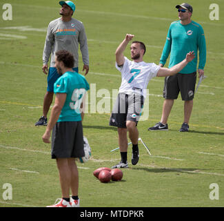 Davie, Florida, Stati Uniti d'America. Il 30 maggio 2018. Delfini di Miami kicker Jason Sanders (7) durante il team organizzato attività La Baptist Health Training Facility a Nova Southeastern University in Davie, Florida il 30 maggio 2018. Credito: Allen Eyestone/Palm Beach post/ZUMA filo/Alamy Live News Foto Stock