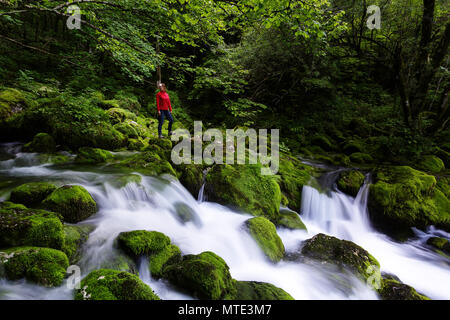 Donna in rosso con un proiettore in piedi dall'acqua che scorre sulle pietre ricoperta con MOSS. Un torrente di montagna. Foto Stock
