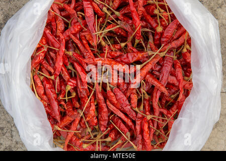 Peperoncini essiccati in bianco di sacchetti di plastica posti sul pavimento in calcestruzzo Foto Stock