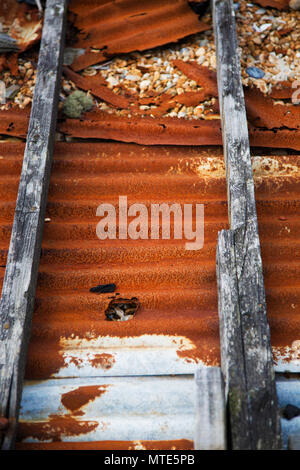 Rusty ondulato pannello di ferro Foto Stock