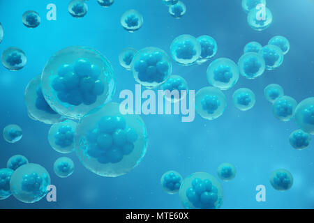 3D Rendering cellule umane o animali su sfondo blu. Concetto stadio precoce medicina embrionale concetto scientifico, la ricerca sulle cellule staminali e il trattamento Foto Stock