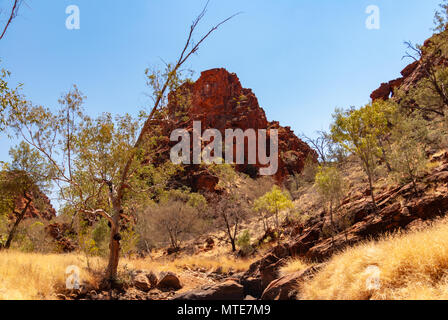 N'Dhala Gorge Nature Park in East MacDonnell Ranges vicino a Alice Springs, Territori del Nord, Australia Foto Stock