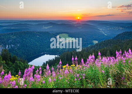 Vista dal monte Feldberg al lago Feldsee, sunrise, Foresta Nera, Baden-Württemberg, Germania Foto Stock