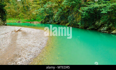 Drone vista del canyon ed il fiume Khosta in Yew e Box-tree Grove nella giornata di primavera, Sochi, Russia Foto Stock