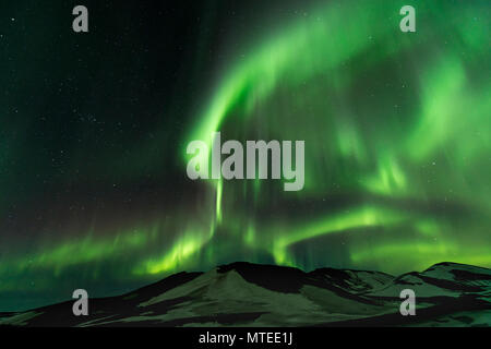Luci del Nord (l'Aurora boreale, vicino Mývatn, Norðurland Eystra, Nord Islanda Islanda Foto Stock