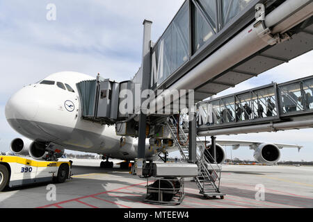 Lufthansa, Airbus A380-800, con agganciato ponti passeggeri, terminale 2, Aeroporto di Monaco di Baviera, Baviera, Baviera, Germania Foto Stock