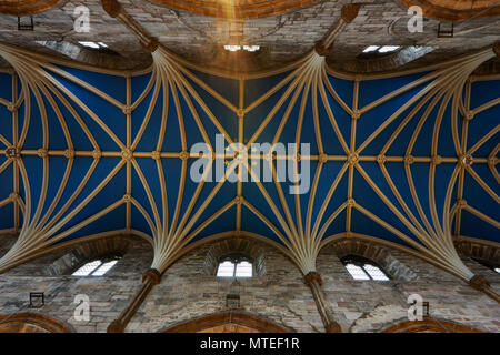 Archivio, la cattedrale di St. Giles, Edimburgo, Scozia, Regno Unito Foto Stock