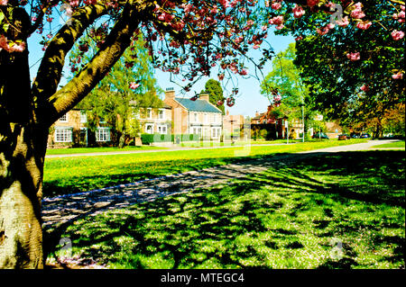 Hurworth on Tees, Borough di Darlington, County Durham, Inghilterra Foto Stock