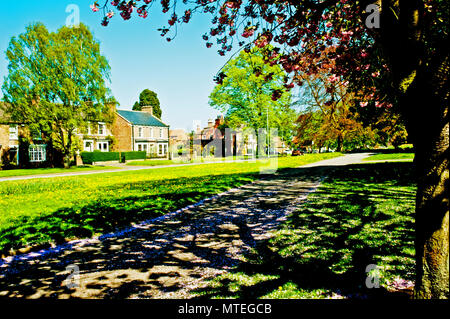 Hurworth on Tees, Borough di Darlington, County Durham, Inghilterra Foto Stock