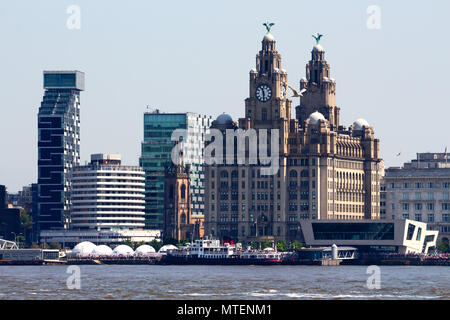 Il Traghetto Mersey Royal Iris passato a vela il fegato edifici sul fiume Mersey in Liverpool Regno Unito. Foto Stock