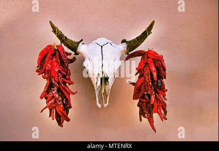 Red chile ristras appeso sulle corna del cranio di una mucca su una parete di adobe in Santa Fe, New Mexico Foto Stock