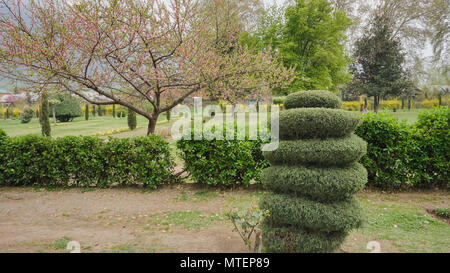 Questa immagine è di un enorme giardino nel Kashmir India, in totale ci sono più di 200 le fontane di acqua in questo bel giardino per i quali questa è famosa. Foto Stock