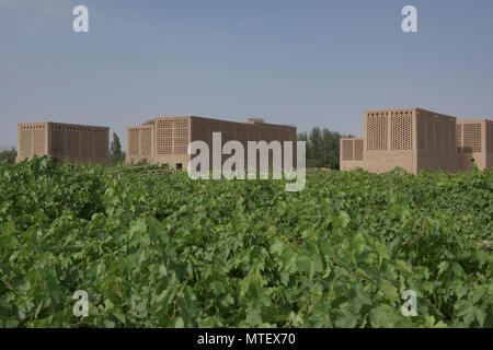 Uva di capanne di essiccazione noti come chunche, Turpan, Xinjiang, Cina Foto Stock