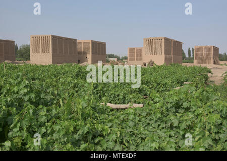 Uva di capanne di essiccazione noti come chunche, Turpan, Xinjiang, Cina Foto Stock