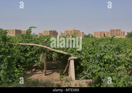 Uva di capanne di essiccazione noti come chunche, Turpan, Xinjiang, Cina Foto Stock