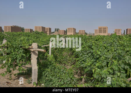 Uva di capanne di essiccazione noti come chunche, Turpan, Xinjiang, Cina Foto Stock