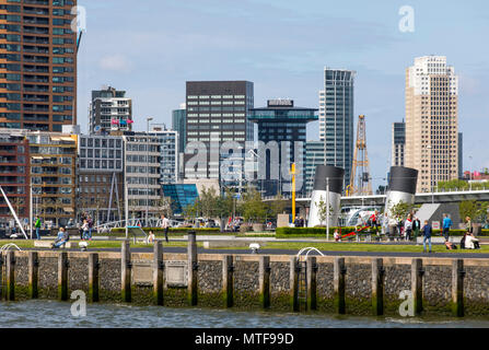Lo skyline di Rotterdam, sul Nieuwe Maas, Paesi Bassi, Foto Stock