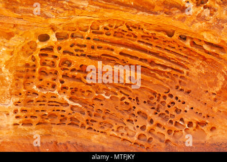 N'Dhala Gorge Nature Park in East MacDonnell Ranges vicino a Alice Springs, Territori del Nord, Australia Foto Stock