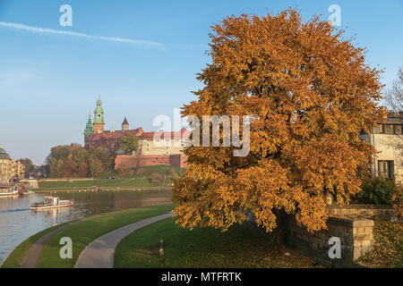 Quay del fiume Wisla, il Palazzo Reale sul colle di Wawel e un abbonamento a Motley albero in primo piano. Cracovia. Polonia Foto Stock