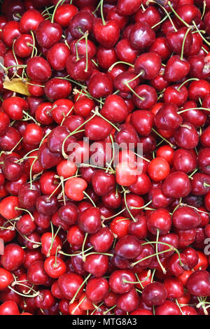 Ciliegie Foto Stock