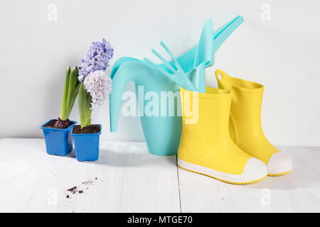 Giallo stivali di gomma e il blu annaffiatoio con un bouquet di fiori bianchi e rosa tulipani sullo sfondo bianco. Accessori giardino. Foto Stock