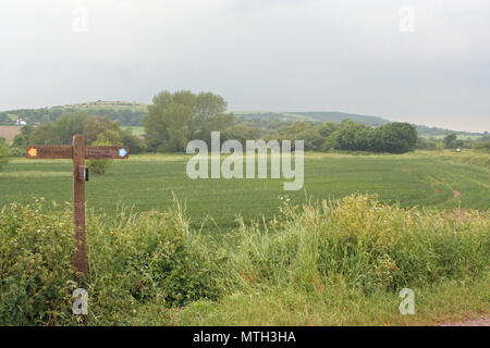 Il South Downs Way e Downs Link in Beeding, West Sussex Foto Stock