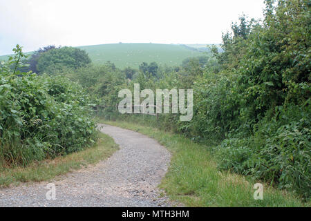 Il South Downs Way e Downs Link in Beeding, West Sussex Foto Stock