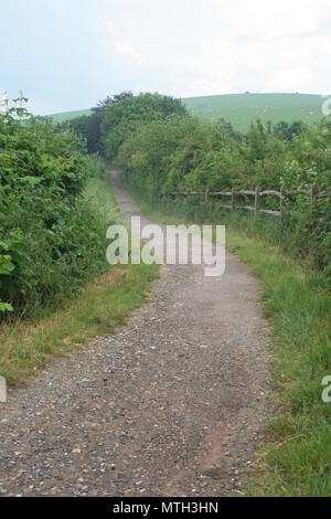 Il South Downs Way e Downs Link in Beeding, West Sussex Foto Stock