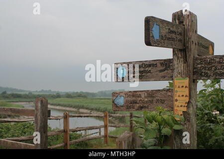 Il South Downs Way e Downs Link in Beeding, West Sussex Foto Stock