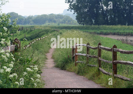 Il South Downs Way e Downs Link in Beeding, West Sussex Foto Stock