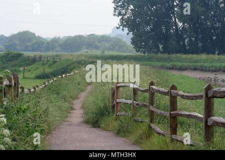 Il South Downs Way e Downs Link in Beeding, West Sussex Foto Stock