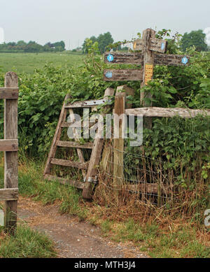 Il South Downs Way e Downs Link in Beeding, West Sussex Foto Stock