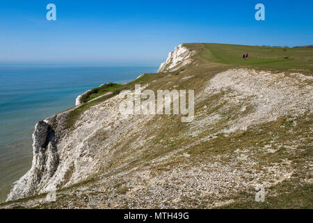 Vista ovest sopra Highdown scogliere guardando verso gli aghi, Isle of Wight, Hampshire, Regno Unito. Foto Stock