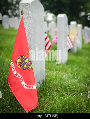 Tombe decorate di noi servizio militare i membri al cimitero di Virginia. Foto Stock