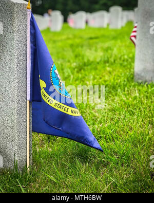 Tombe decorate di noi servizio militare i membri al cimitero di Virginia. Foto Stock